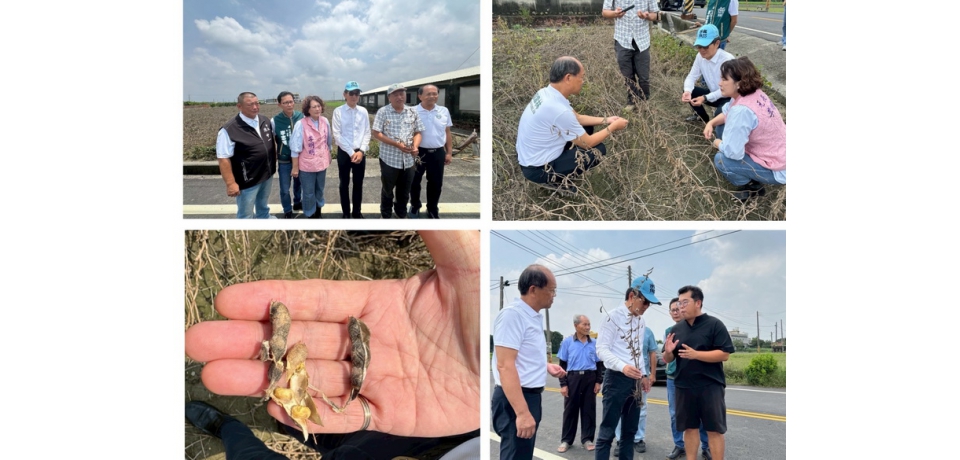 米克拉豪雨重創雲林大豆 農損逾五成 立委劉建國籲中央速啟天然災害救助(圖)