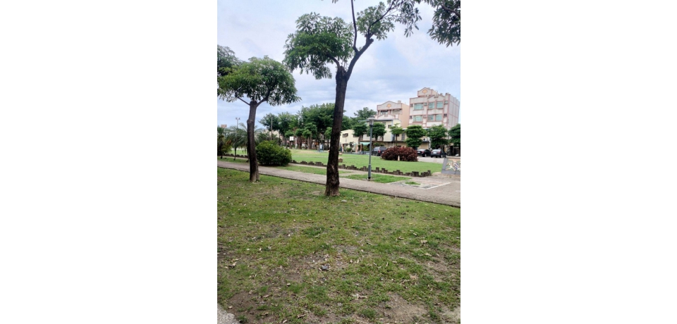 台電公司大林發電廠公園造景植樹減碳嘉惠地方(圖)